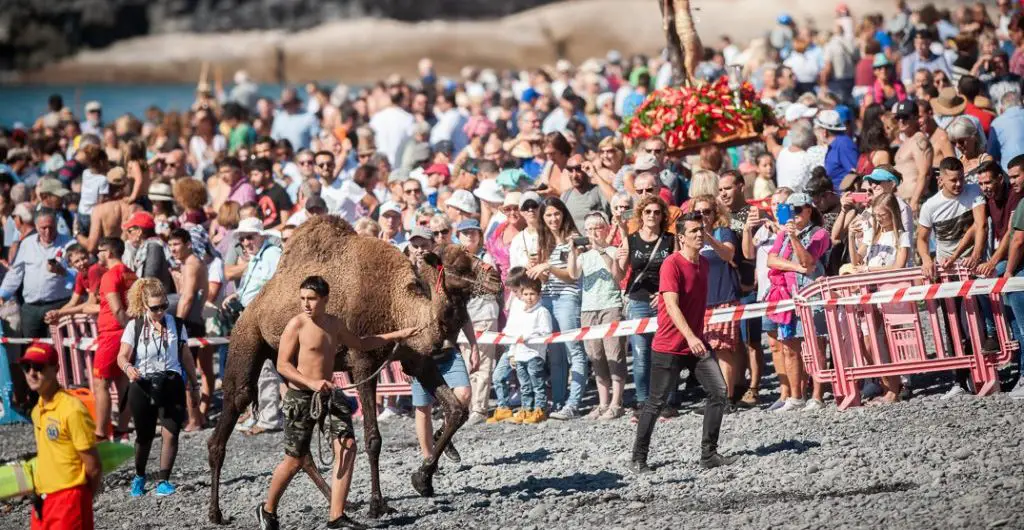 Fiesta de San Sebastián en Adeje y la bendición de los animales 2024